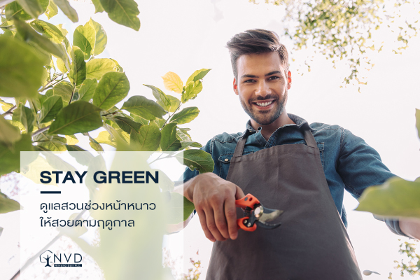 5 วิธีการดูแลต้นไม้หน้าหนาวให้สวยงามตลอดฤดูกาล