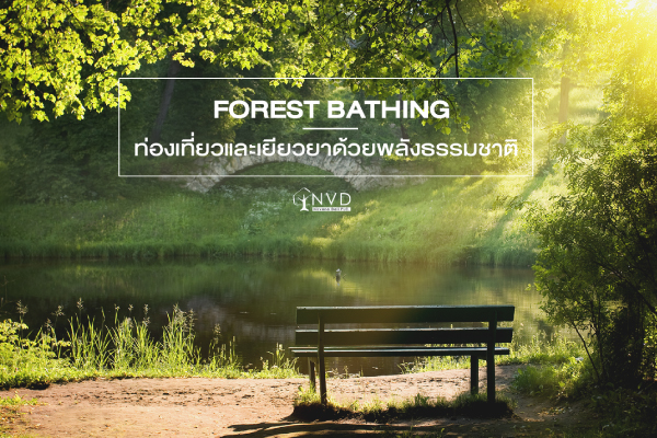 Forest Bathing อาบป่าเติมพลัง เยียวยาชีวิตด้วยธรรมชาติ
