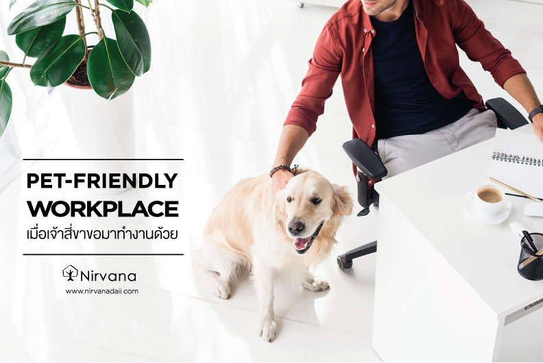 Pet-Friendly Workplace เมื่อเจ้าสี่ขาขอมาทำงานด้วย 