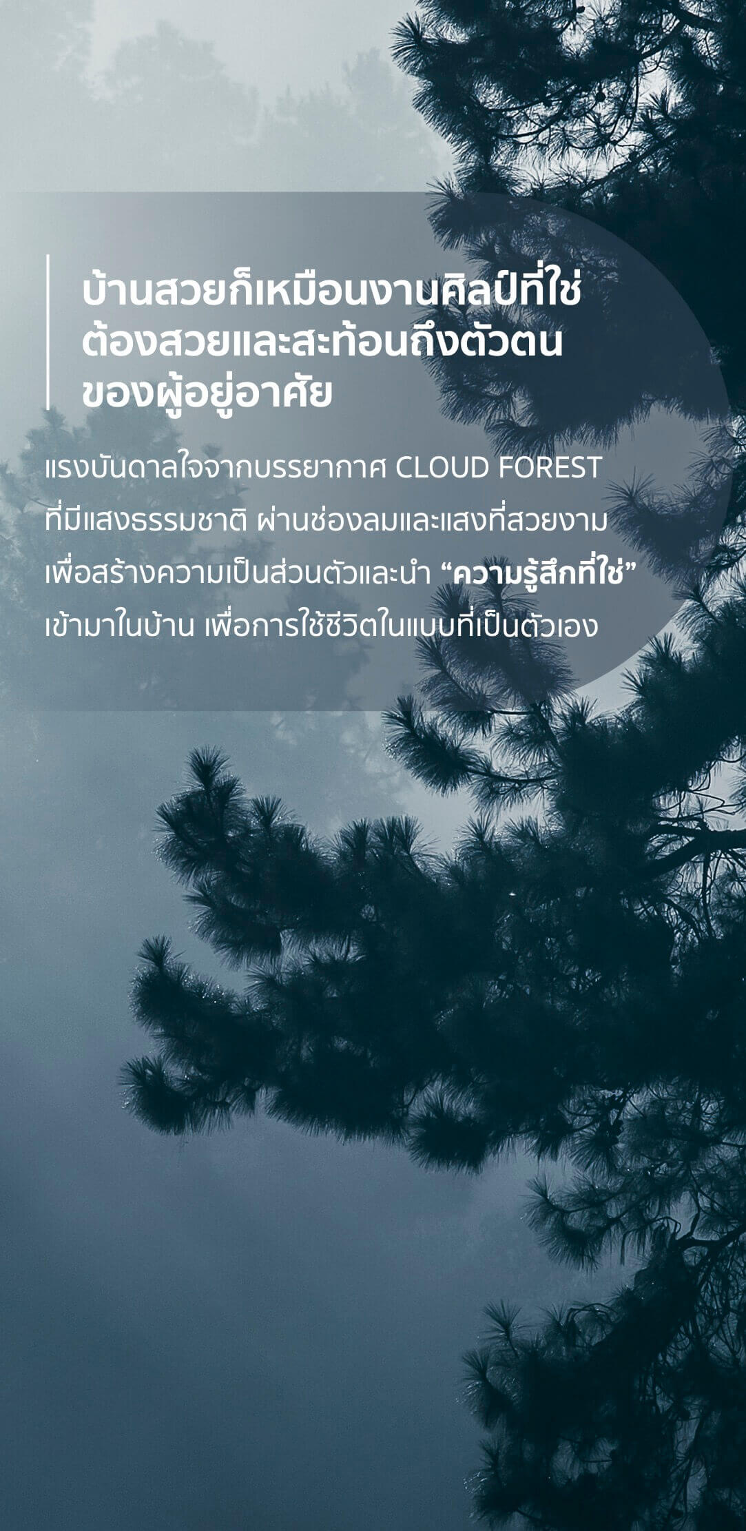 Nirvana ABSOLUTE-Nirvana ABSOLUTE Krungthep Kreetha-บ้านเดี่ยว บ้านเดี่ยว