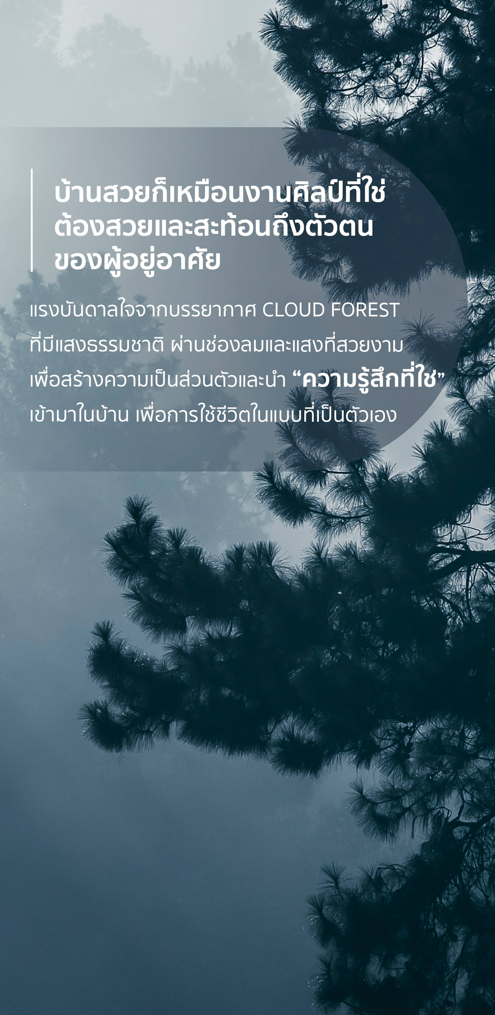 Nirvana ABSOLUTE-Nirvana ABSOLUTE Bangna-บ้านเดี่ยว .